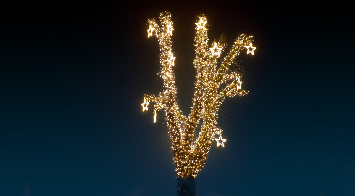 MK Illumination Lichtmotive QF+ – Snow Flake®, Classic Flake, Pentor®, Wega & Orion (2D-LED-Motive) – Pentor® Stern Ø 70 cm · Warmweiß (160-020) – Anwendung / Detail